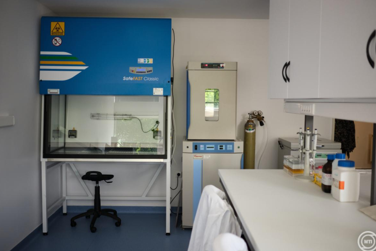 Új kutatóközpont nyílt Karikó Katalin támogatásával a Szegedi Tudományegyetemen