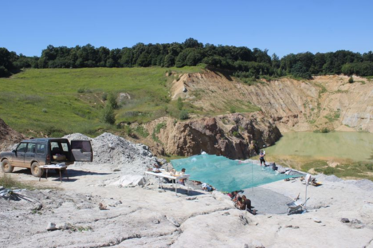 Átírja az eurázsiai dinoszauruszok evolúciójáról alkotott eddigi elképzeléseket egy Iharkúton talált koponyalelet