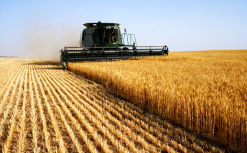 AM: jelenleg is tart az aratás, figyeljünk az utakon!